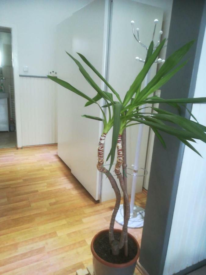 Zentral Gelegene Wohnung In Velbert-Mitte エクステリア 写真